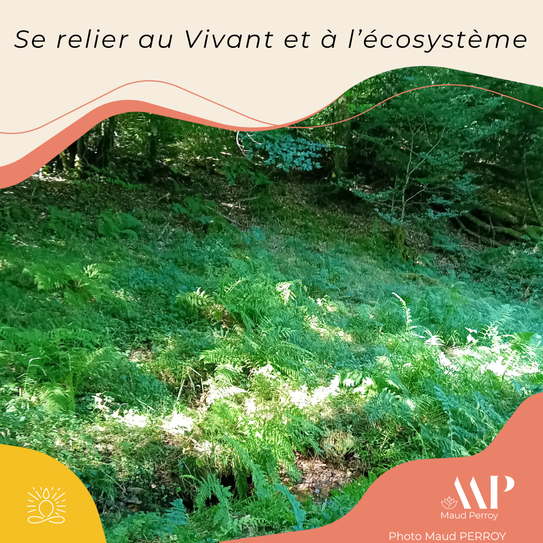 Méditation guidée en forêt