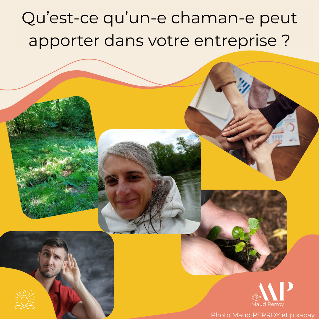 Qu’est-ce qu’un-e chaman-e peut apporter à votre entreprise ?